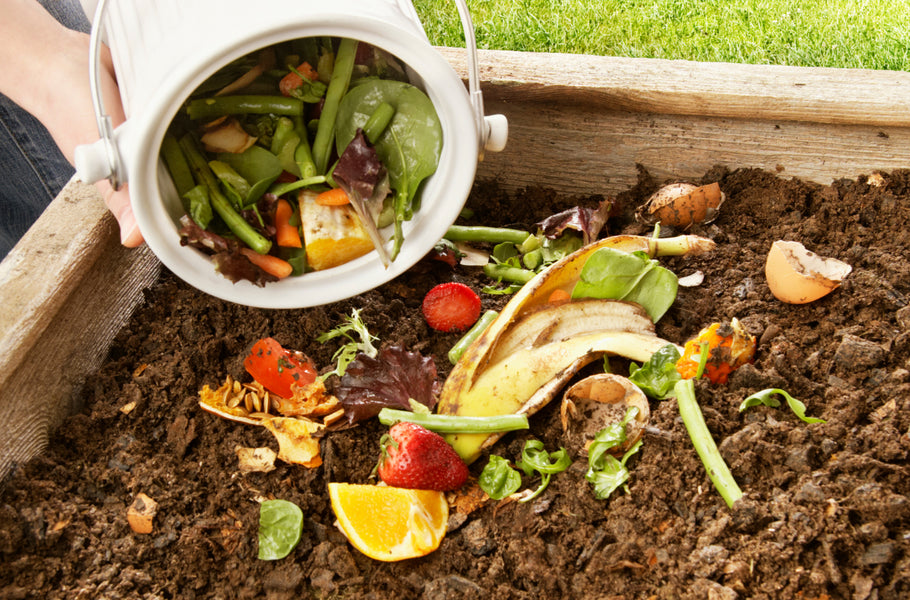 How to start composting