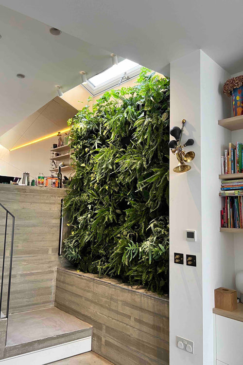 Inside living wall vertical garden plant boxes and troughs for vertical planting 