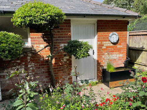 A typical english garden with an aluminium dipping tank used as a water butt, to store rainwater.  A watering can is then dipped into the tank to water your garden with 