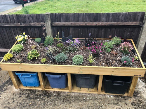 Front Garden Bin and Recycling Storage Unit with Living Roof Planting for Sedum