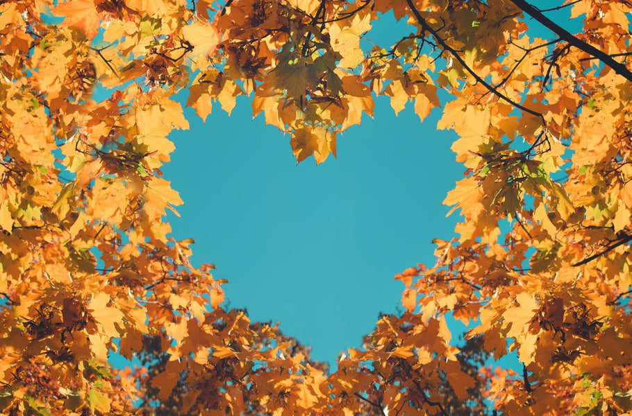 Get your garden ready for Autumn
