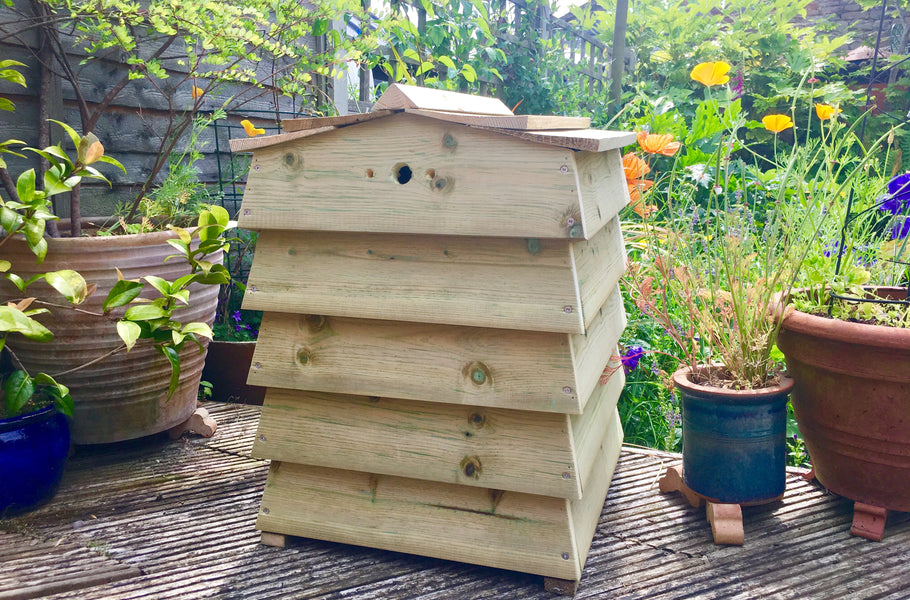 Making your garden bee and insect friendly during winter