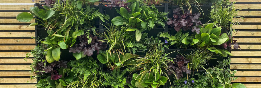 living wall planter, vertical gardening in your home or garden / indoor or outdoor / internal or external