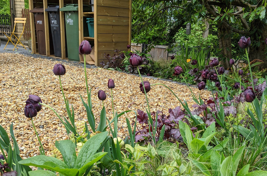 Style around your garden & wheelie bin storage
