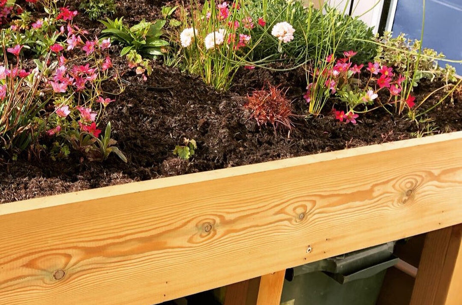 Wheelie bin store with a living green roof planter