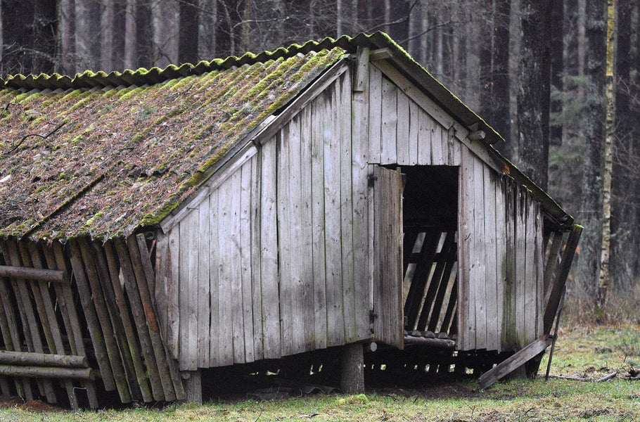 Caring for your outdoor wooden structures 