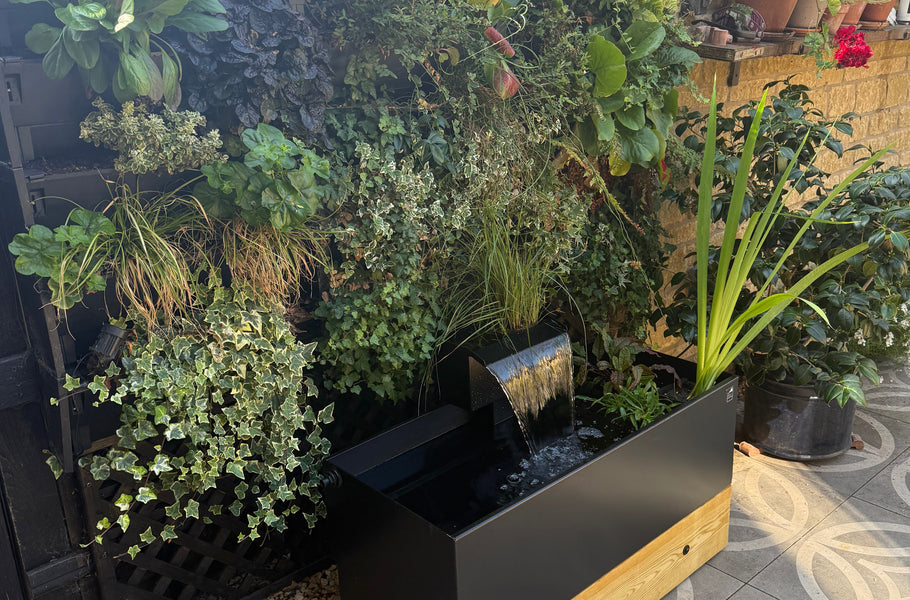 Outdoor living wall planters, with a Dipping Tank in front 