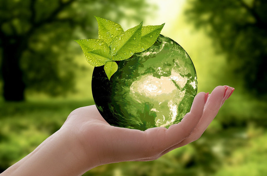 Sustainable gardening myths 