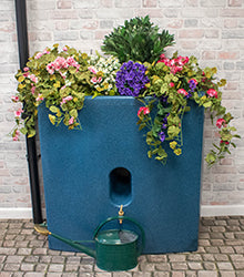Oasis water butt planter for harvesting rainwater