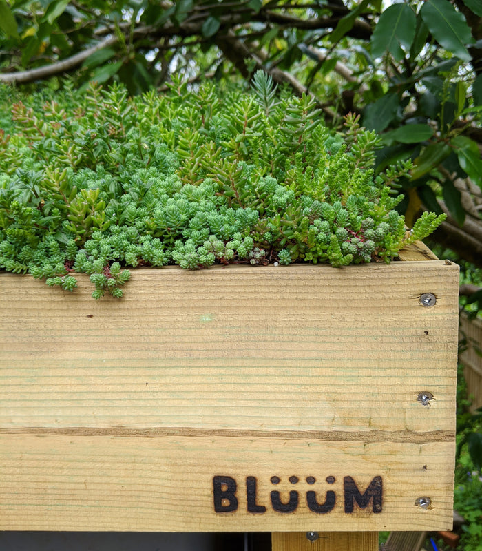 Green Roof Products