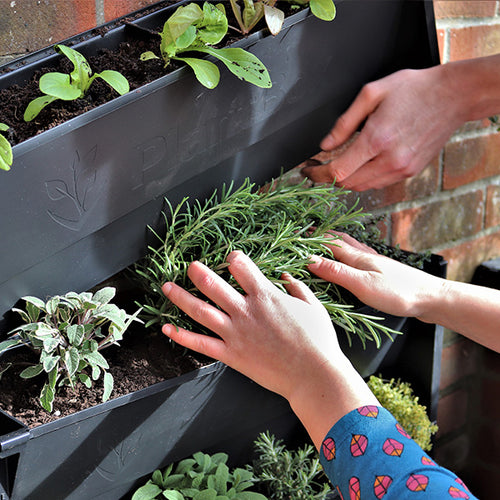 PlantBox living wall vertical garden system internal or external use / inside or outside 