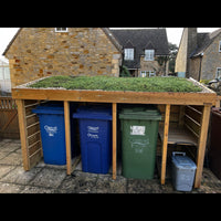 Triple Wheelie Bin & Recycling Store: 'Shorter' version with no base, and a fully clad back panel. Living green roof planter top