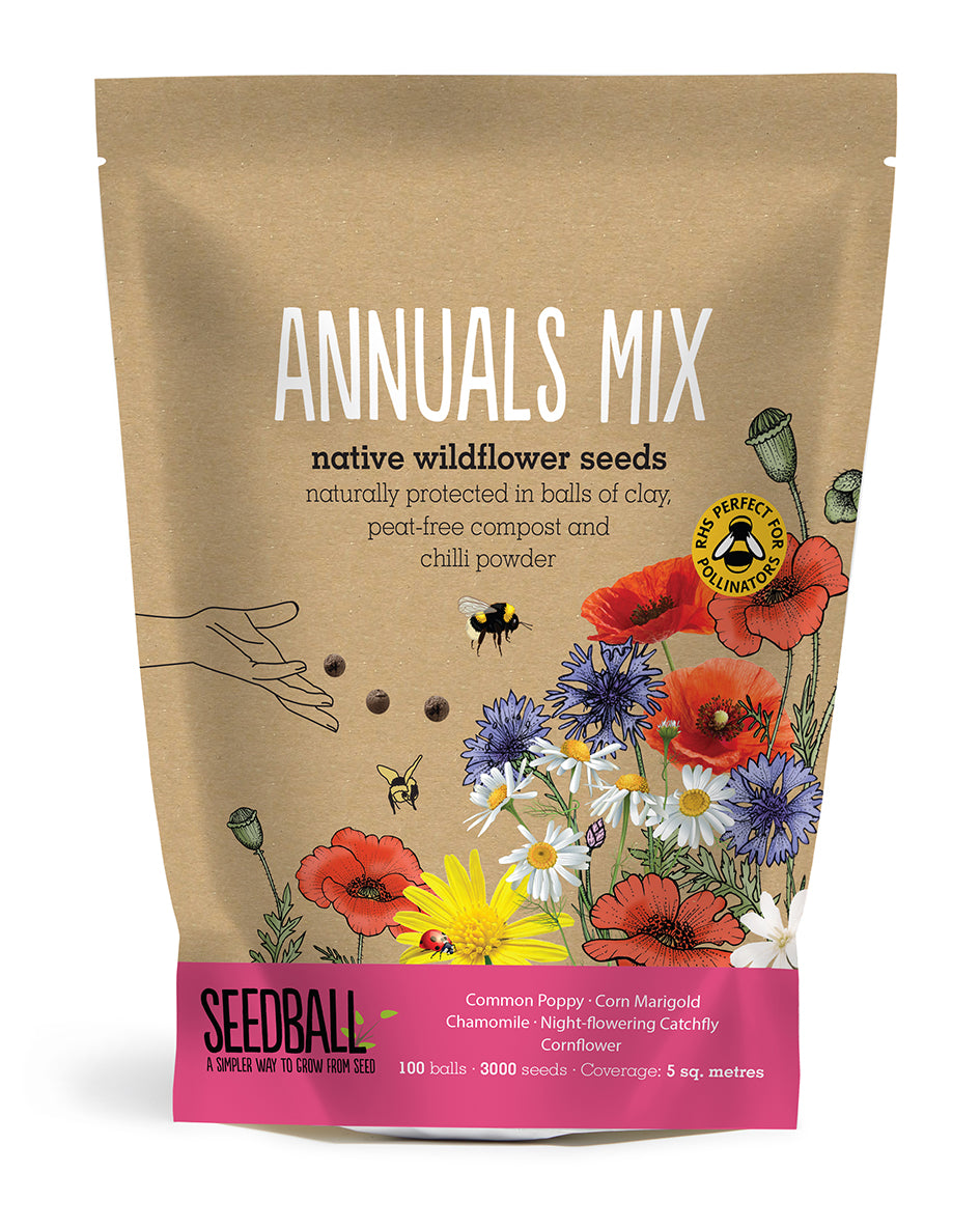 wildflower seeds bulk uk Wildflower Seedball Grab Bag (100 Seedballs)