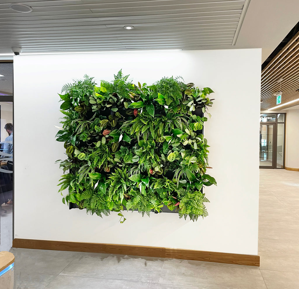 PlantBox Living Wall System | Indoor & Outdoor | Vertical Gardening ...