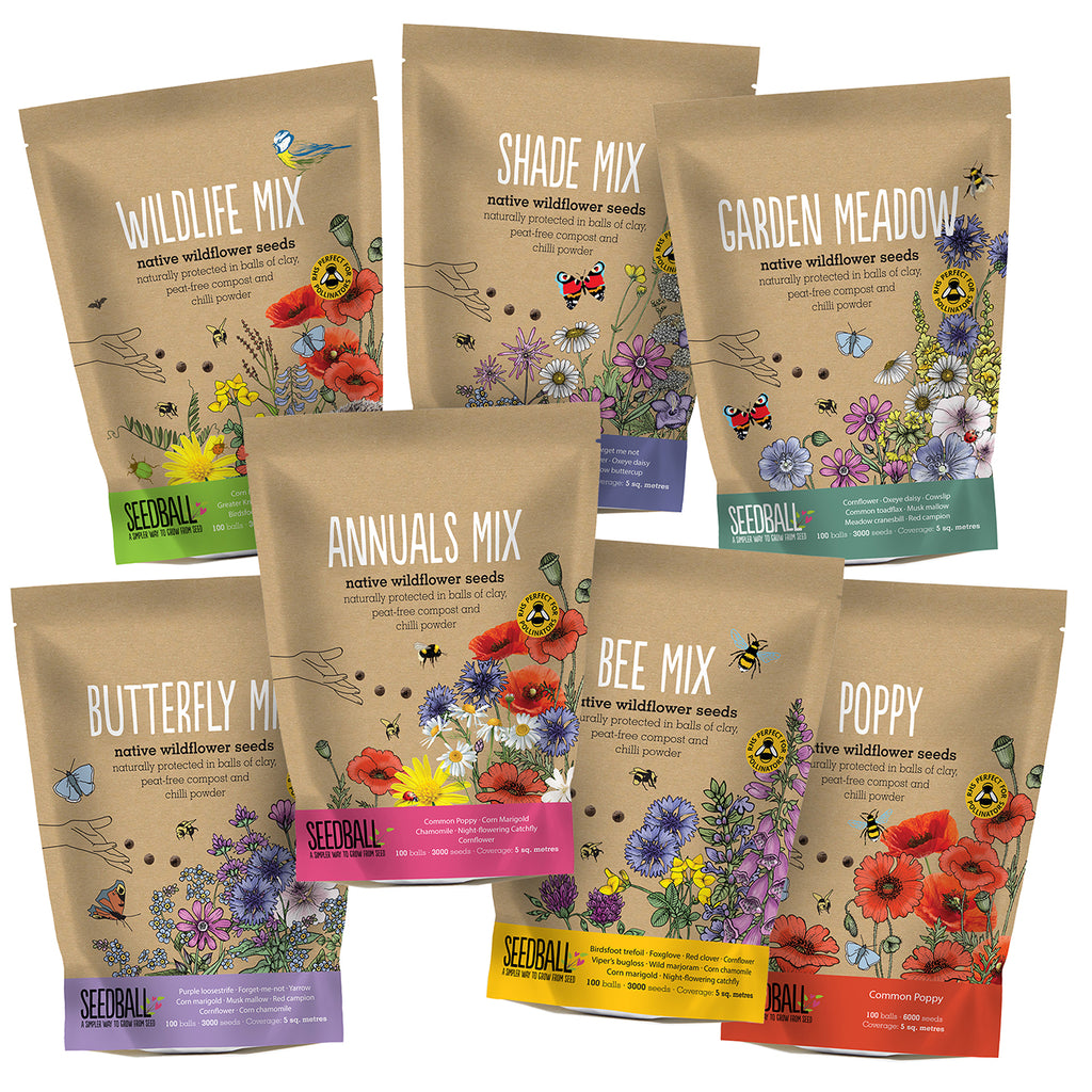 native british wildflower seeds Wildflower Seedball Grab Bag (100 Seedballs)
