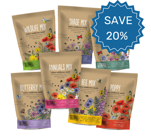 Save 20% on wildflower seedball grab bags. Wildflower seedballs, native wildflower seeds, British wildflowers, bulk seedballs, pollinator seeds, bee friendly seeds