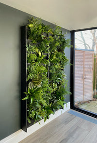 Interior or exterior living wall or vertical garden planter system for planting on the wall 