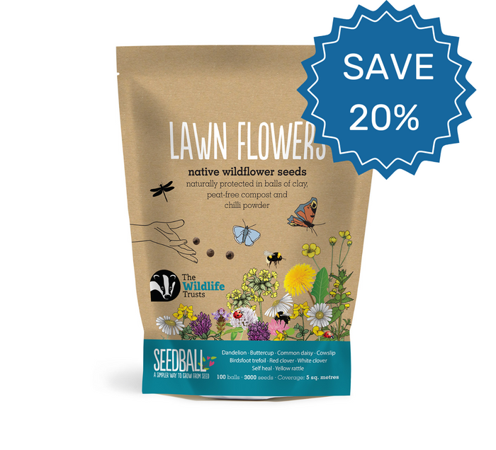 Save 20% on lawn flower wildflower seed balls. Green roof seeds, wildflower lawn, lawn flowers, green roof wildflowers, low-growing wildflowers, flowering lawn seeds