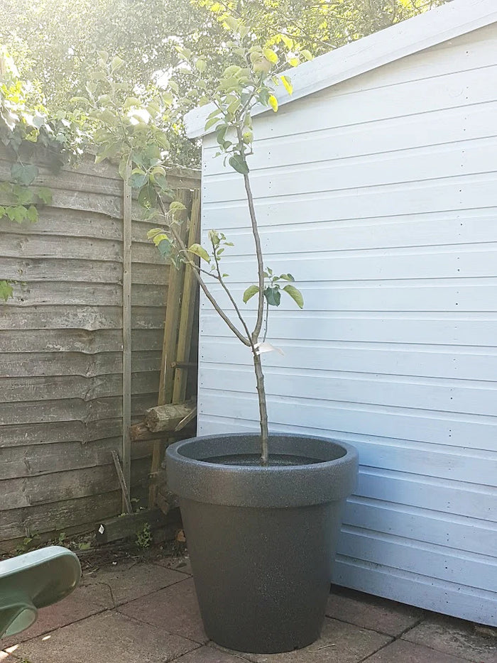 Classic Garden Planter - multiple colours available. Indoor outdoor plant pot. MDPE plastic garden planter. Weather resistant garden planter, made in the UK 