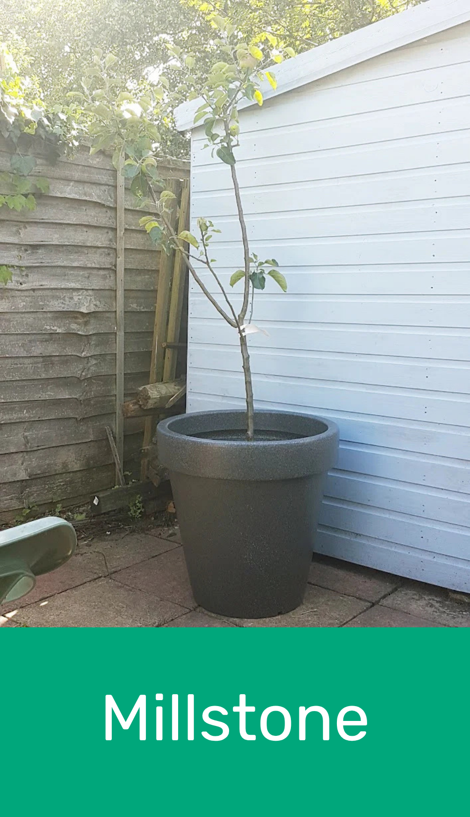 extra large plant pots for trees uk Classic Garden Planter – Multiple Colours Available