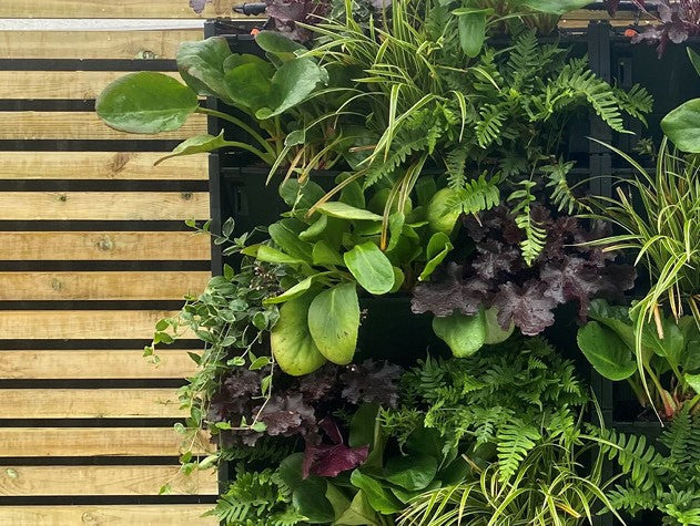 PlantBox living wall vertical garden system internal or external. Living wall planters for an indoor or outdoor green wall
