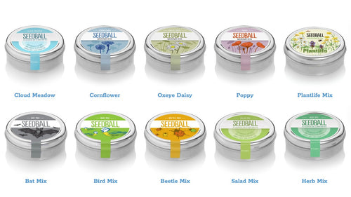 Tins of wildflower seed balls