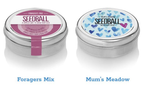 Wildflower seed ball tins