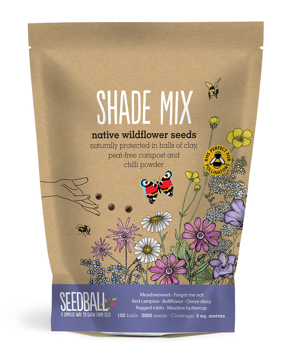 wildflower seeds bulk uk Wildflower Seedball Grab Bag (100 Seedballs)