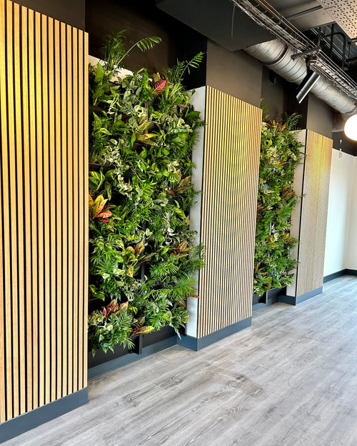 Internal inside or external outside living wall vertical planting system for vertical gardens