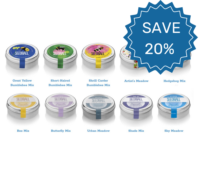 Save 20% on wildflower seedball tins. Wildflower seedball tin, small wildflower gift, starter seedballs, native seeds gift, mini wildflower collection, compact gardening gift