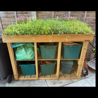 Recycling storage box made from timber / wood with a living green roof planter full of sedum