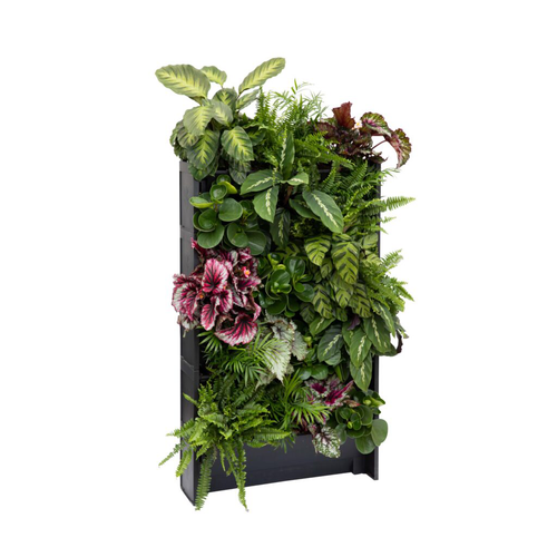 Indoor living wall, houseplant living wall, indoor vertical garden, indoor jungle wall, houseplant vertical garden system, biophilic living wall planters, indoor green wall