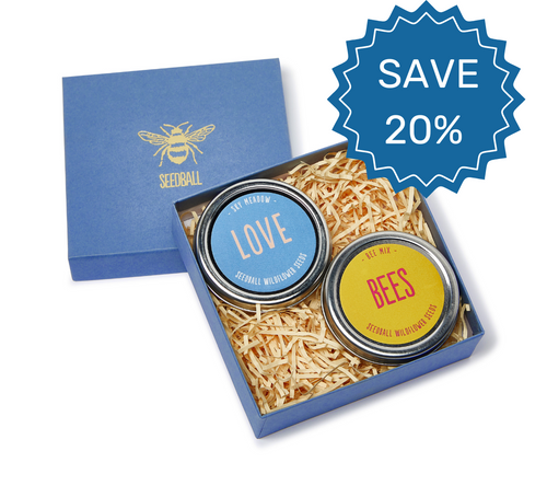 Save 20% on the love bees gift set. Bee friendly gifts, wildflower gift set, pollinator gift, bee lover gift, environmental gifts, conservation gifts