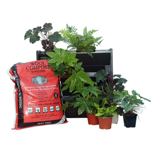 Outdoor living wall, shaded living wall, external vertical garden, shade plants living wall, outdoor vertical garden kit