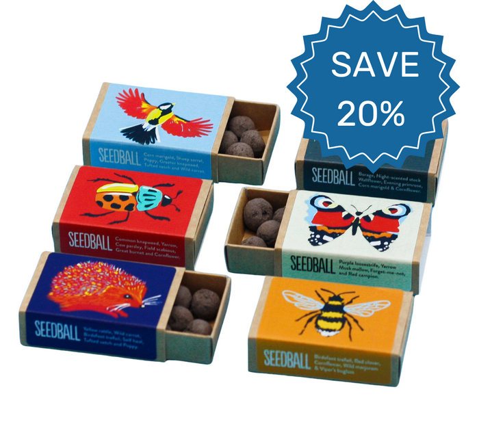 Save 20% on wildflower seed products. Wildlife wildflower seeds, native wildflower collection, pollinator seeds, wildlife garden, biodiversity seeds, bee butterfly seeds