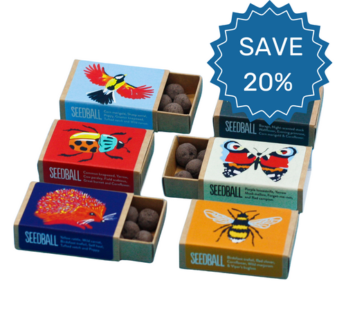 Save 20% on wildflower seed products. Wildlife wildflower seeds, native wildflower collection, pollinator seeds, wildlife garden, biodiversity seeds, bee butterfly seeds