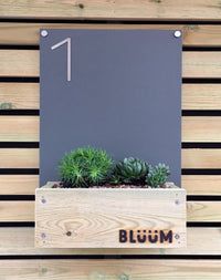 Portrait Bluum Stores modern contemporary house number sign with planter for succulents, alpines, sedum