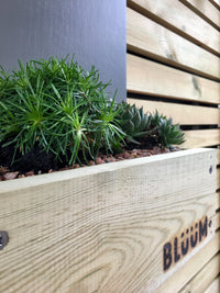 Modern look to the front of your house with a Bluum house number sign