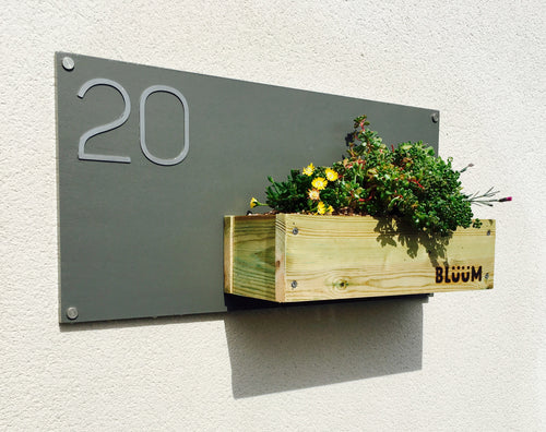 Some alpine plants in a modern contemporary house number sign