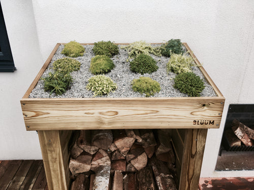 Firewood timber log storage from Bluum Stores, small sized with a living green roof planter for succulent plants, sedum, grasses or herbs
