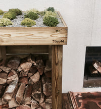 Modern look to the front of your house with a Bluum log and firewood storage unit and its green living roof planter for sedum, succulents, alpines, grasses and herbs 