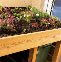 Green roof with plants on wheelie bin and recycling storage unit